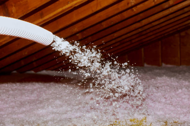 Best Insulation Installation Services in Lloyd Harbor, NY
