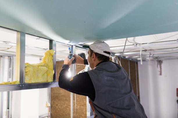 Best Insulation Maintenance and Repair in Lloyd Harbor, NY